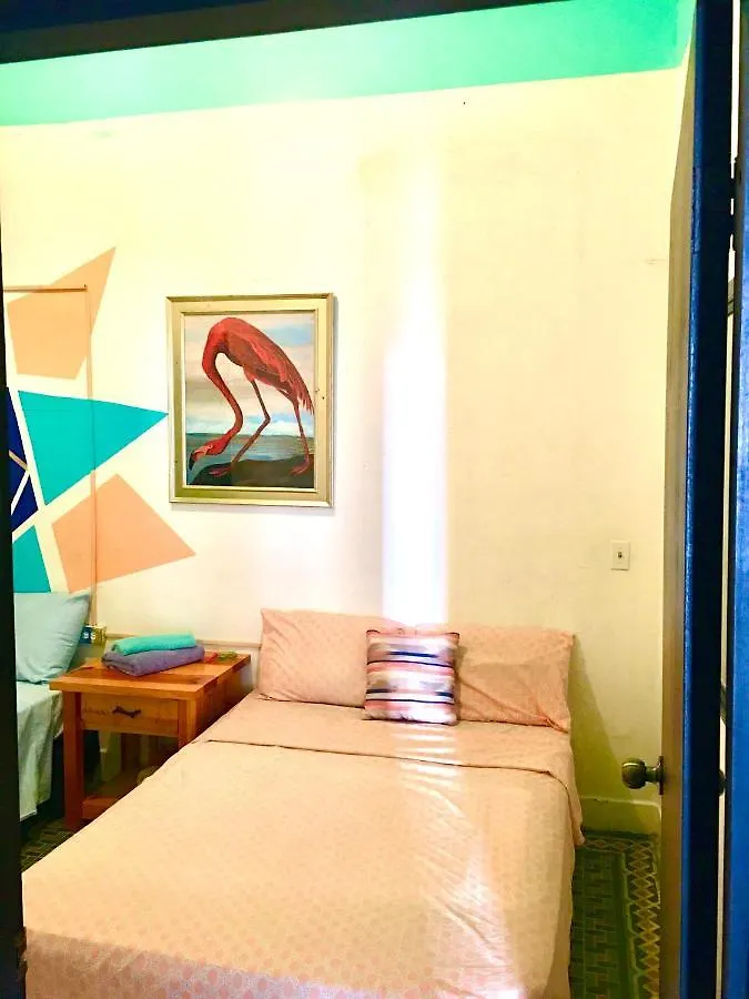 Medusa'S Hostel Aguadilla
